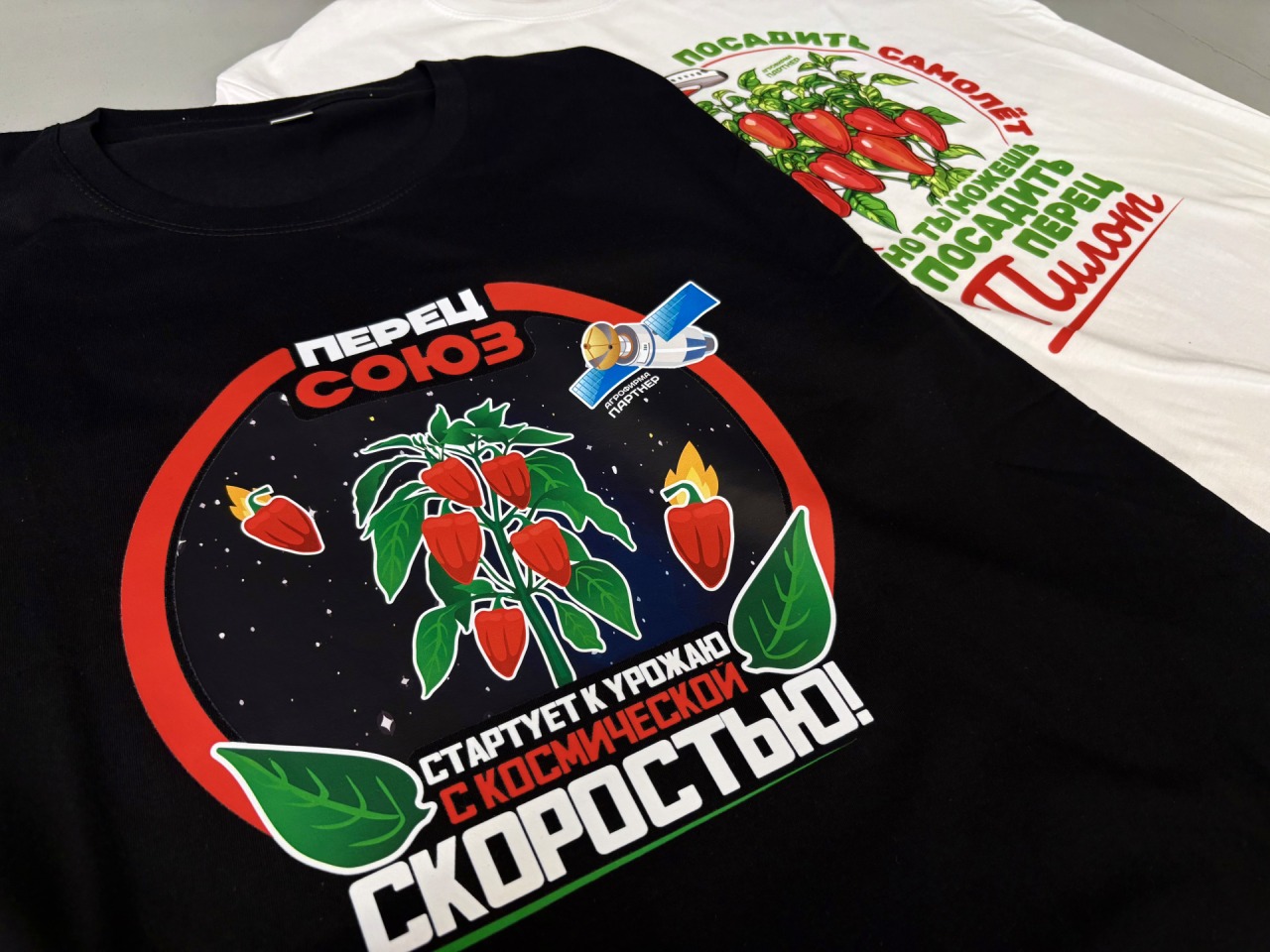 81 фирменная футболка с DTF-печатью для компании «Агрофирма Партнер»