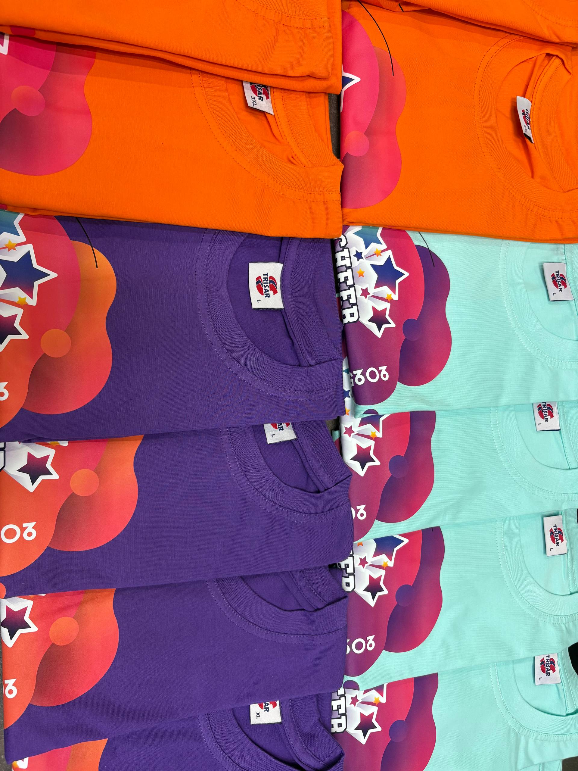 101 футболка для соревнований по чир спорту и чирлидингу ОФСО «ФЧК»