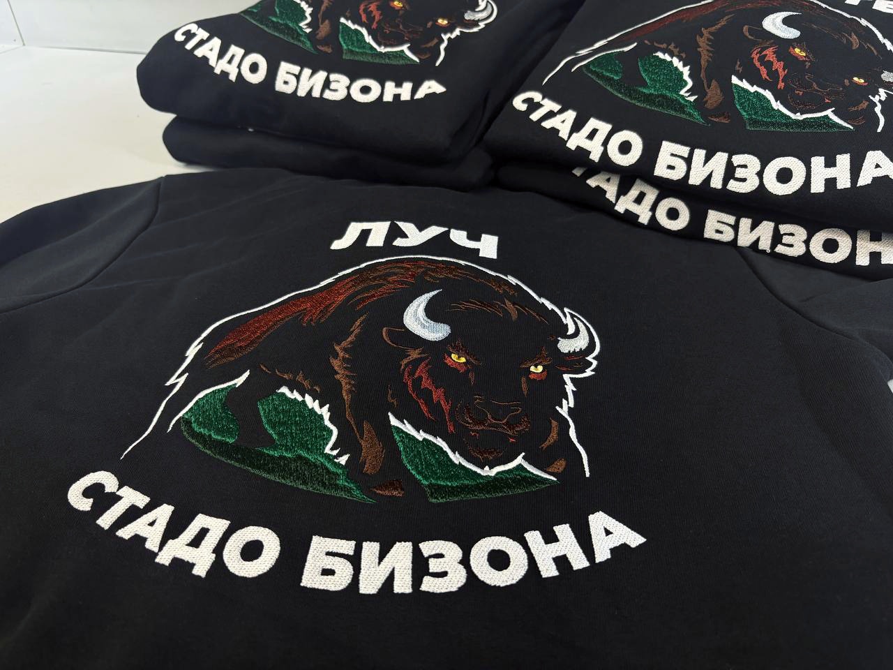 10 толстовок с индивидуальной вышивкой под ключ для частного лица